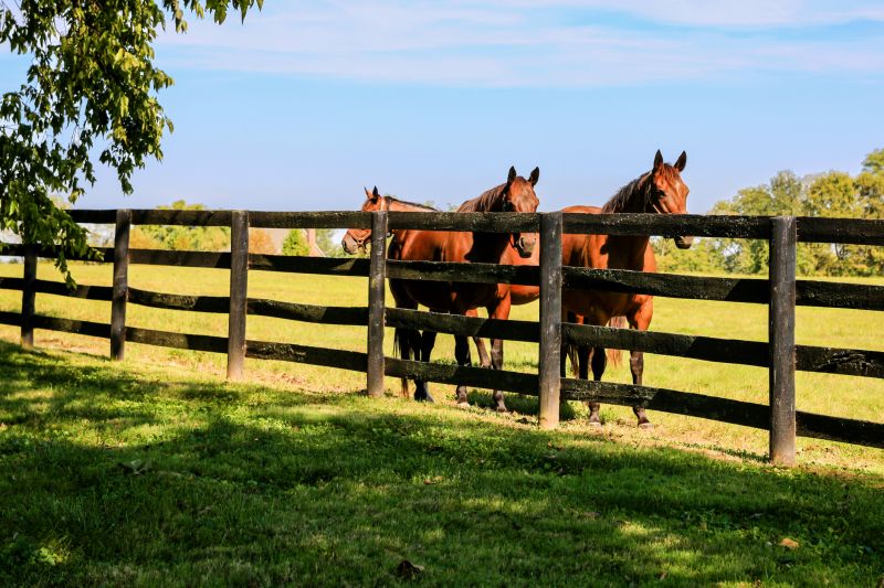 Farm and Ranch Fence