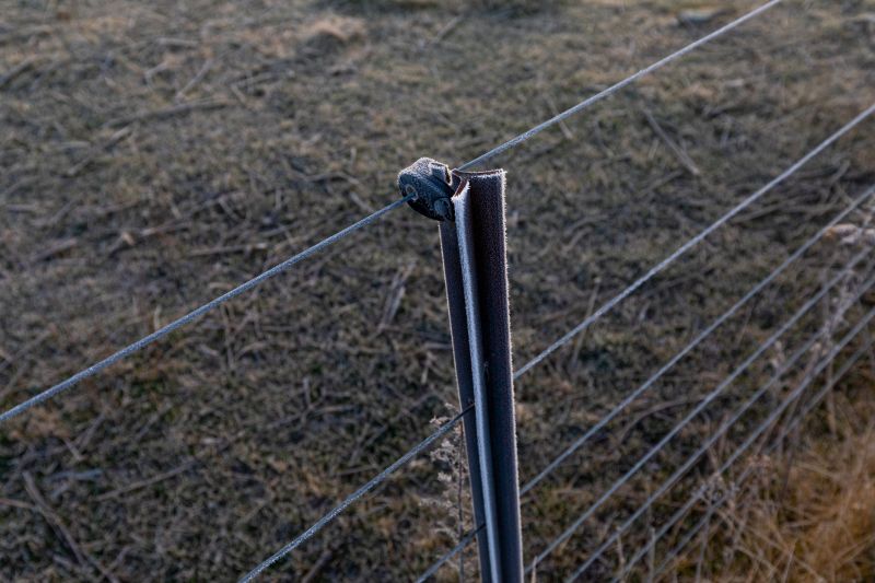 Inspection of Fence Posts